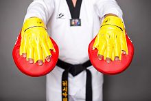 Лапа боксерская PS024 Ppofsport
