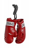 Подвеска Mini Boxing Glove In Paris Everlast