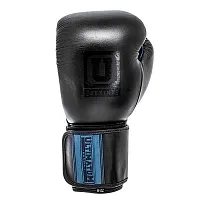 Боксерские перчатки Ultimatum Boxung Gen3Pro